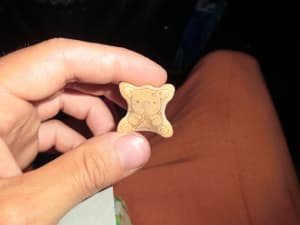 Koala mit Zirkel
